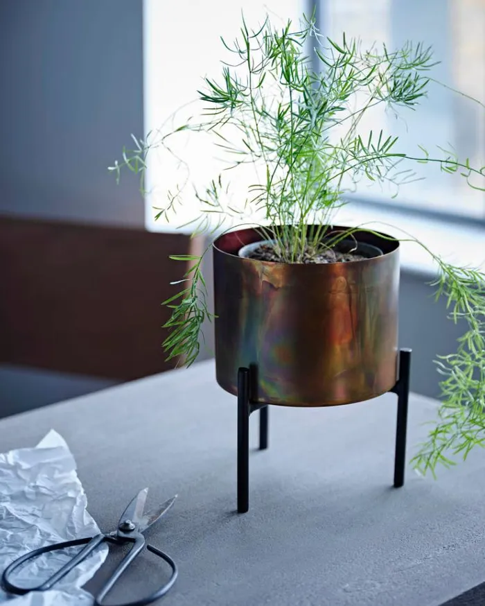 French Connection Home Accessories Molten Copper Desktop Planter Bronze 8211 Home