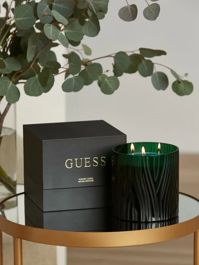 Home Zebra Candle GreyYarn Dye 8211 GUESS Women