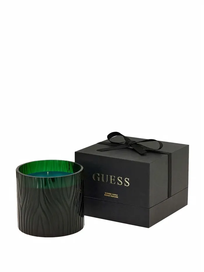 Home Zebra Candle GreyYarn Dye 8211 GUESS Women