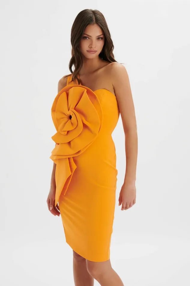 Lavish Alice Off The Shoulder and Bardot NOLA 3D Statement Ruffle Midi Dress In Papaya Papaya 8211 Women Lavish Alice Off The Shoulder and Bardot NOLA 3D Statement Ruffle Midi Dress In Papaya Papaya 8211 Women