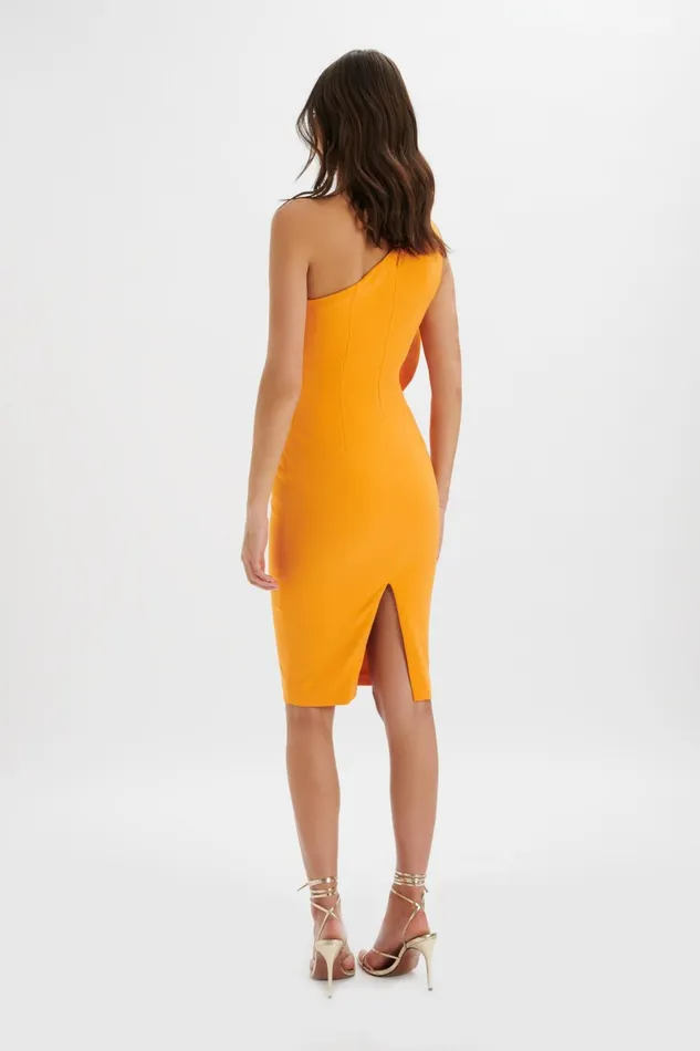 Lavish Alice Off The Shoulder and Bardot NOLA 3D Statement Ruffle Midi Dress In Papaya Papaya 8211 Women