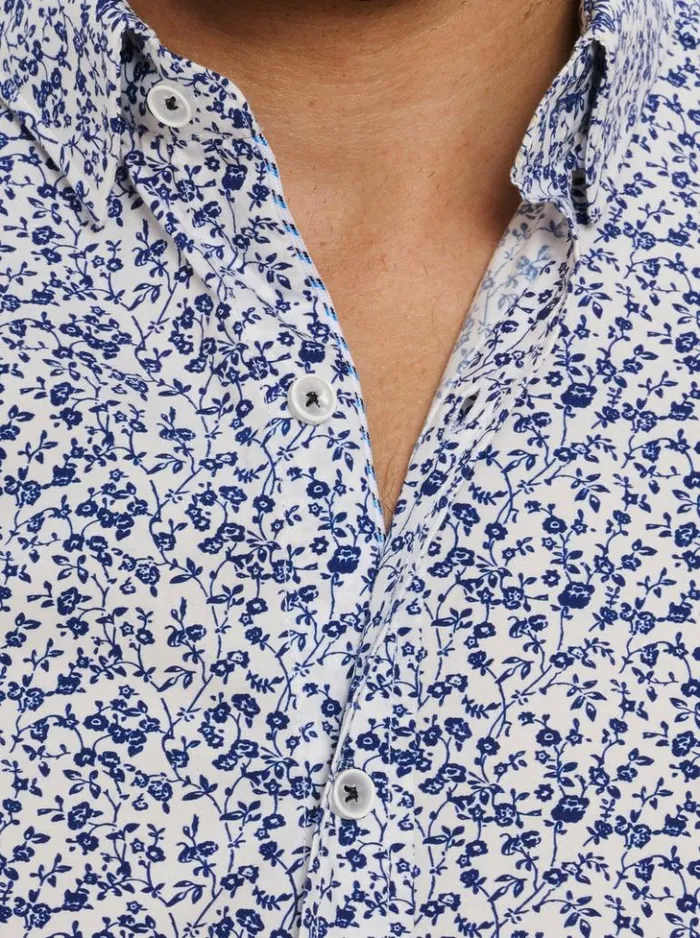 Men Robert Graham Button Down Shirts Bassel Short Sleeve Button Down Shirt Blue