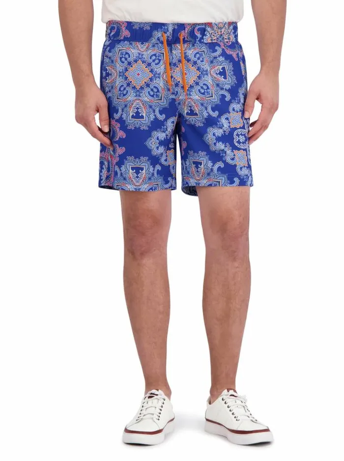 Men Robert Graham Shorts and Swim Loki Swim Purple