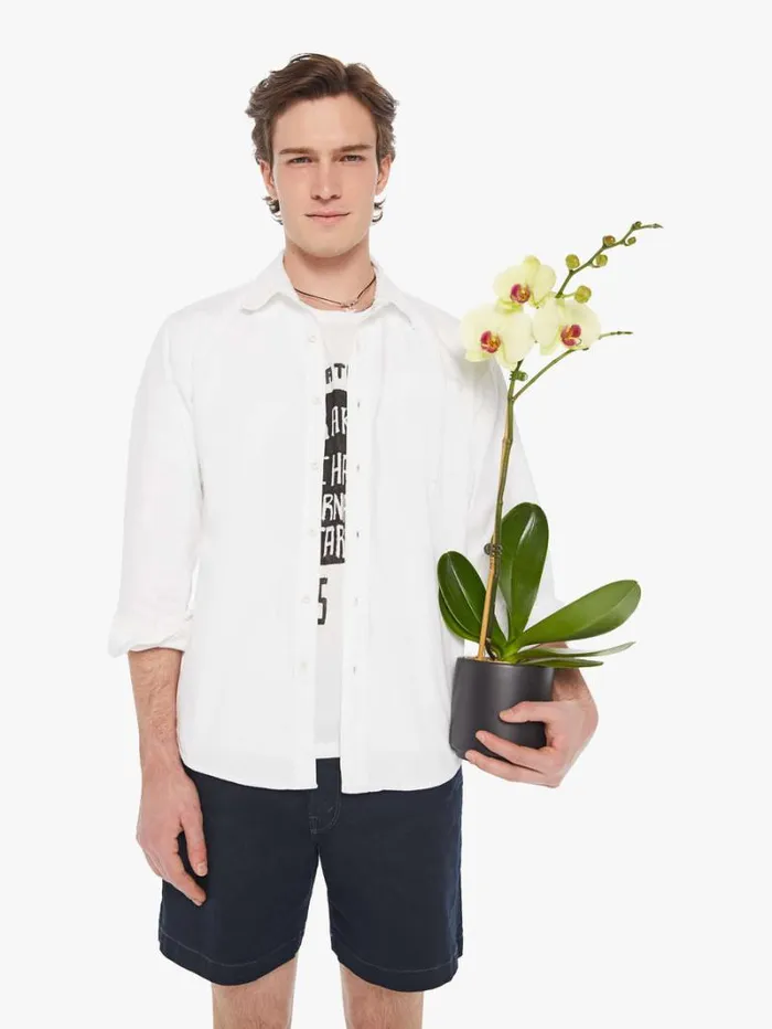 Men Shirts Mother Denim Back At The Office White Noise