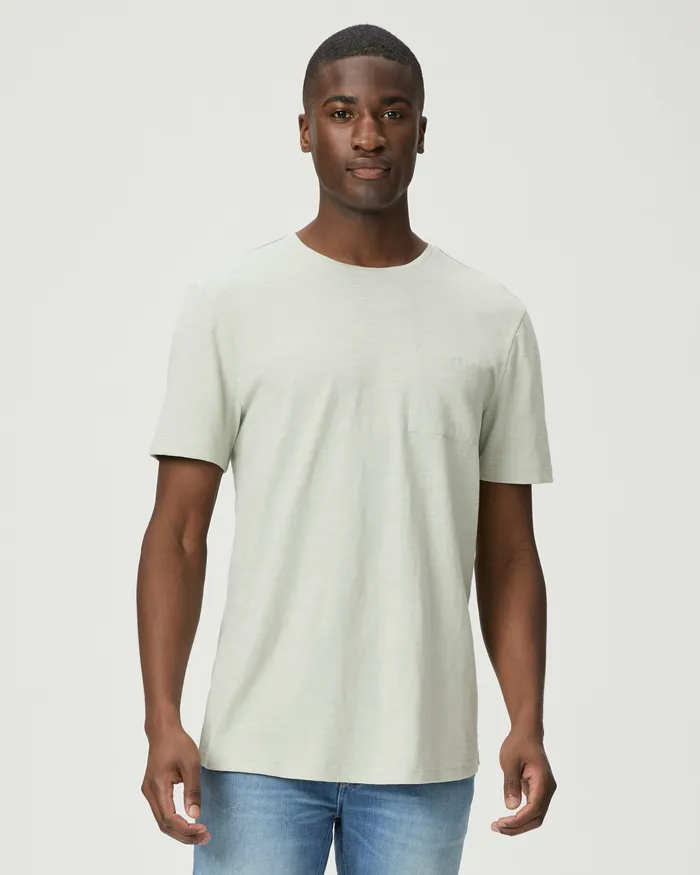 Men Tees PAIGE Kenneth Crew 8211 Garden Mint