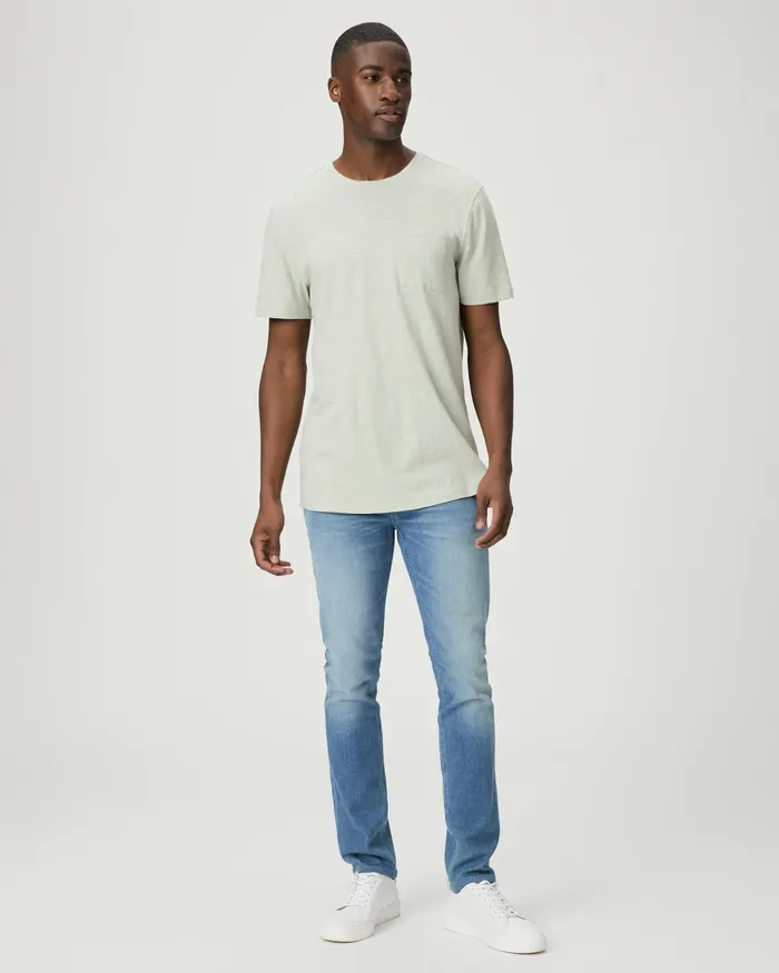 Men Tees PAIGE Kenneth Crew 8211 Garden Mint