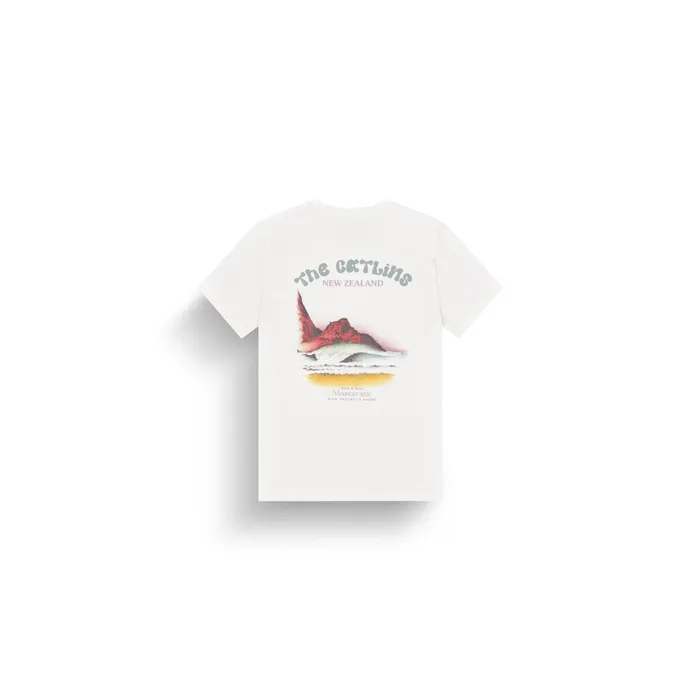 Picture Organic Clothing DandS Catlins Tee Men TShirts Picture Organic Clothing DandS Catlins Tee Men TShirts
