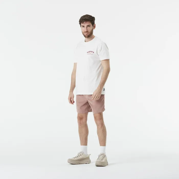 Picture Organic Clothing DandS Dolomiti Tee Men TShirts