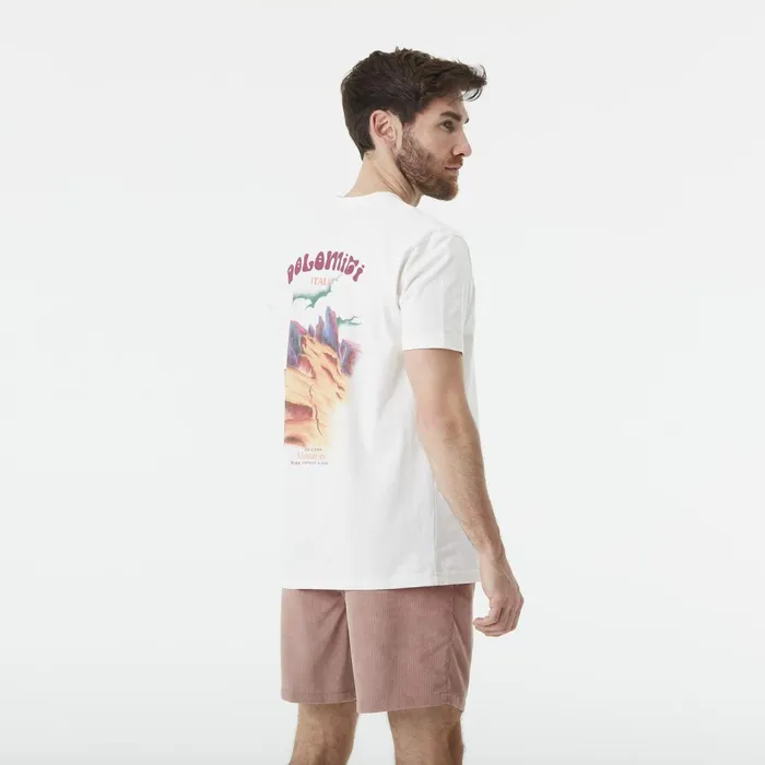 Picture Organic Clothing DandS Dolomiti Tee Men TShirts