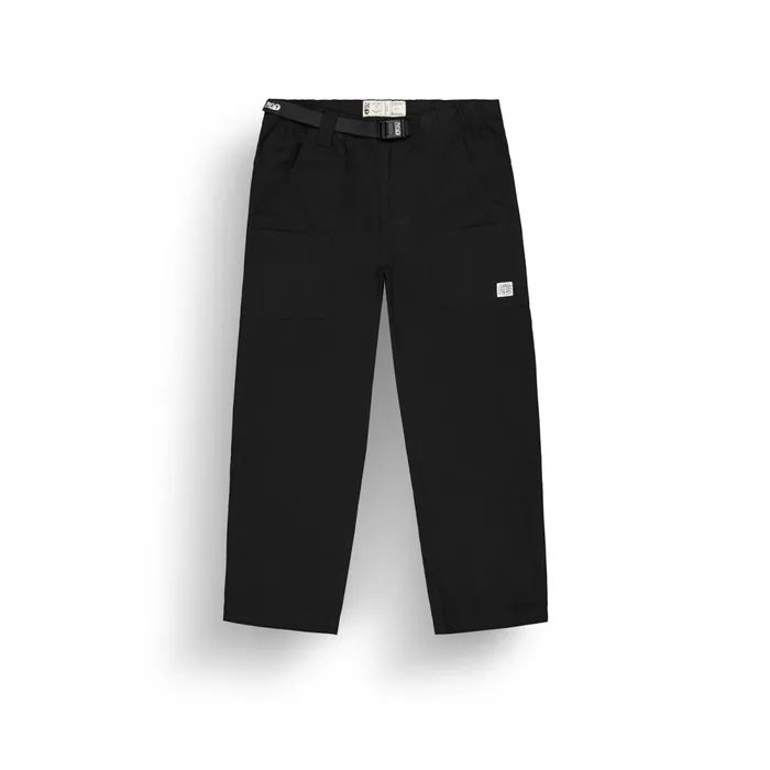 Picture Organic Clothing Dazcat Pants Men Pants Picture Organic Clothing Dazcat Pants Men Pants