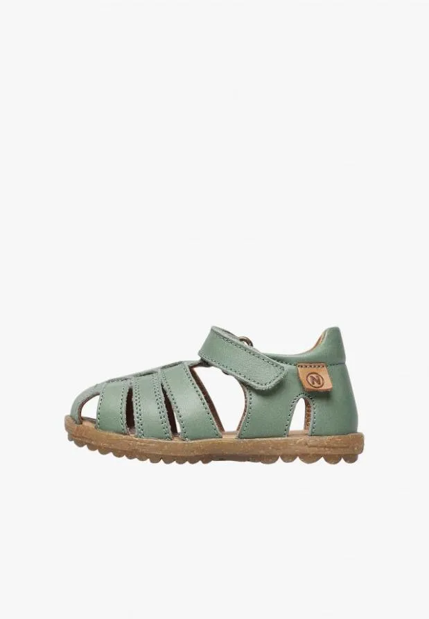 Sandals Kids Naturino NATURINO SEE Sage