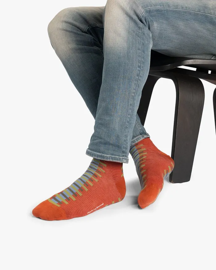 Socks Men Floris Van Bommel De Sokker 1102 Other
