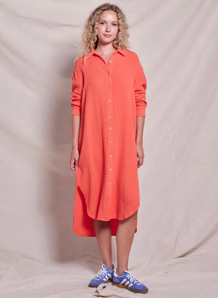 Sundry Clothing Dresses Women Women039s Midi Easy Shirt Dress In Dark Raspberry Dark Raspberry Sundry Clothing Dresses Women Women039s Midi Easy Shirt Dress In Dark Raspberry Dark Raspberry