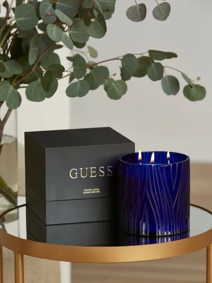 Women Home GUESS Zebra Candle Grey