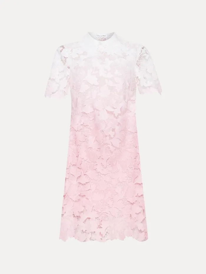 Women Oscar De La Renta Dresses Ombr Peony Guipure Shift Dress Soft Pink