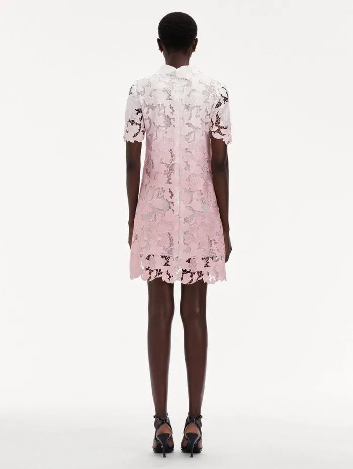 Women Oscar De La Renta Dresses Ombr Peony Guipure Shift Dress Soft Pink