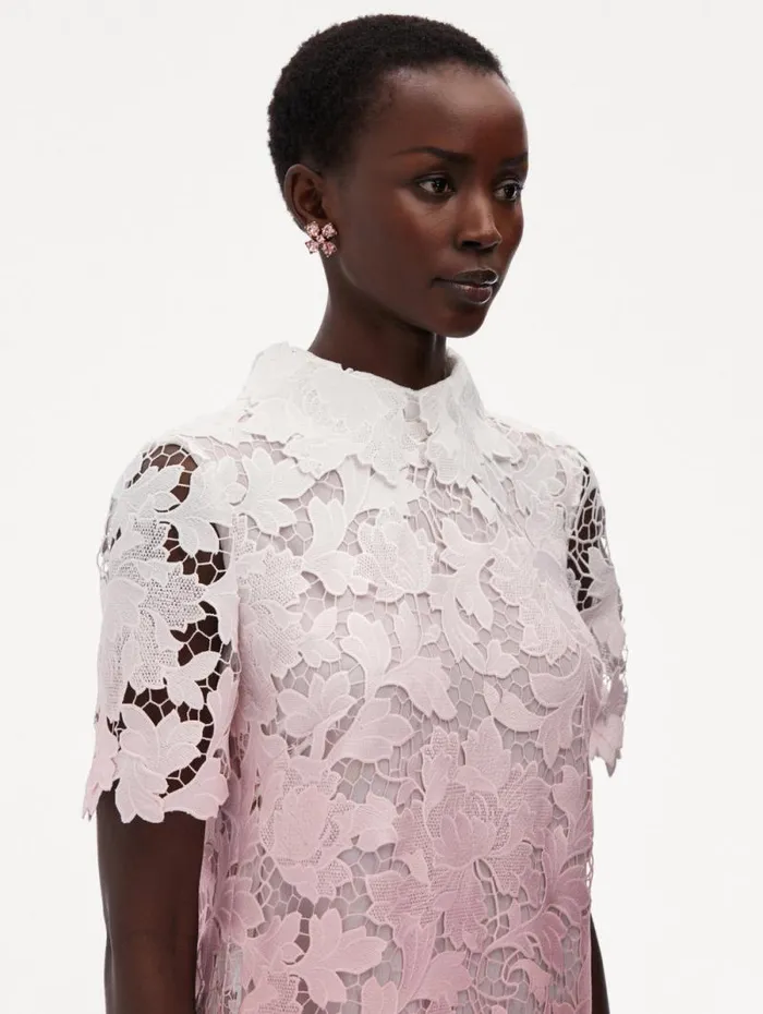 Women Oscar De La Renta Dresses Ombr Peony Guipure Shift Dress Soft Pink