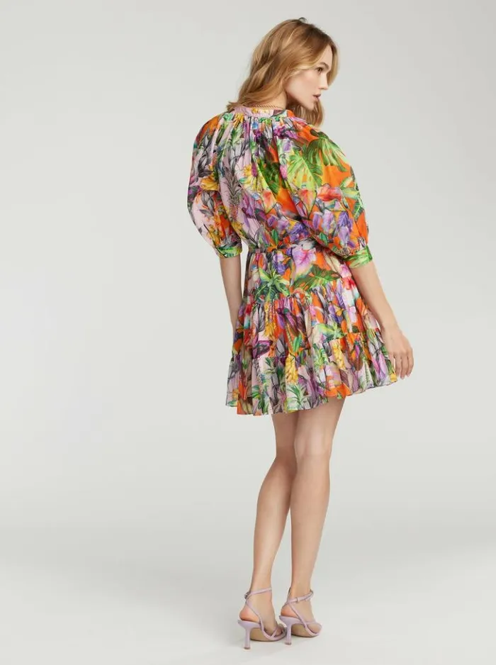 Women Robert Graham Dresses Sydney Dress Multi